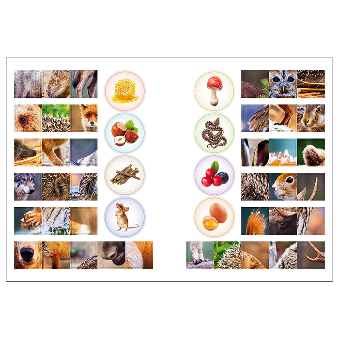 Мир животных с наклейками. Кто живёт в лесу?