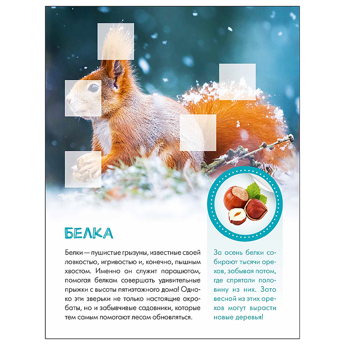 Мир животных с наклейками. Кто живёт в лесу?