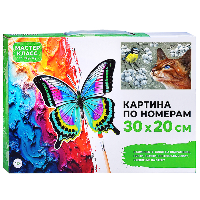 Набор для рисования MKR3020-31 "Картина по номерам 30х20 см. Увлечение" 