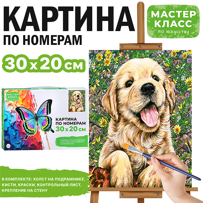 Набор для рисования MKR3020-21 "Картина по номерам 30х20 см.  Забавный щенок" 