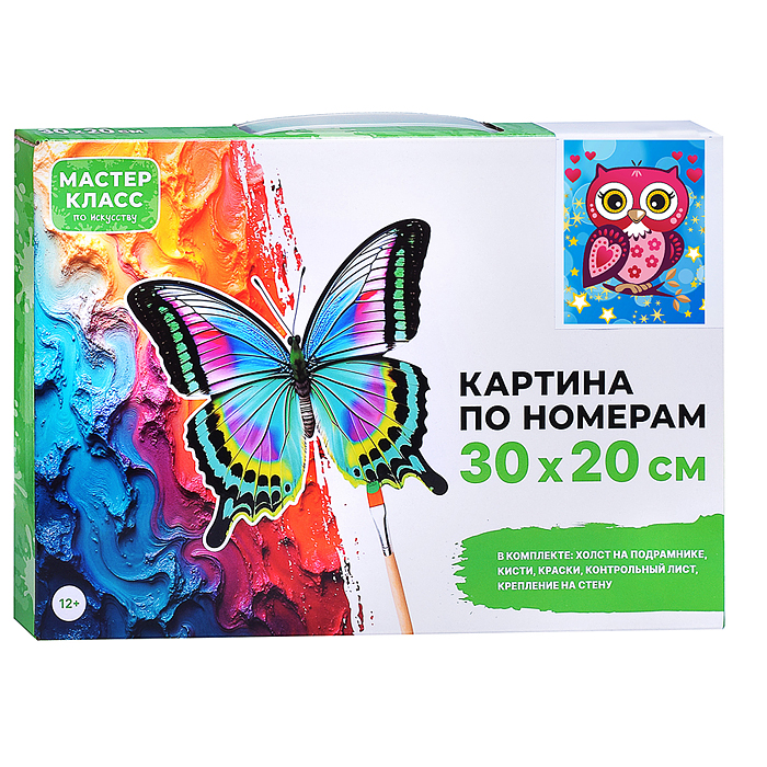Набор для рисования MKR3020-72 "Картина по номерам 30х20 см. Сова"