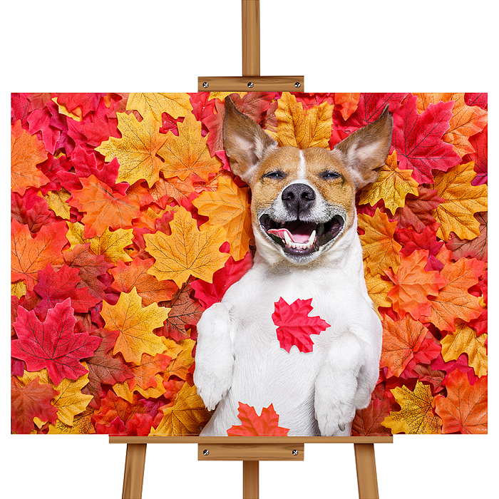 Набор для рисования MKR3020-92 "Картина по номерам 30х20 см. Щенок в листве"