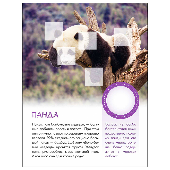 Мир животных с наклейками. Кто живёт в зоопарке?