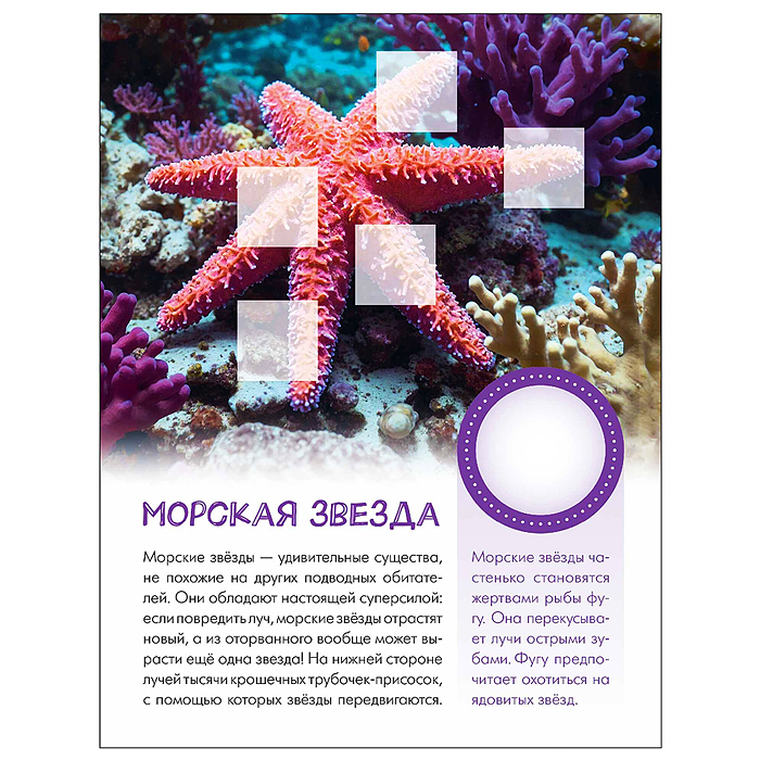 Мир животных с наклейками. Кто живёт под водой?