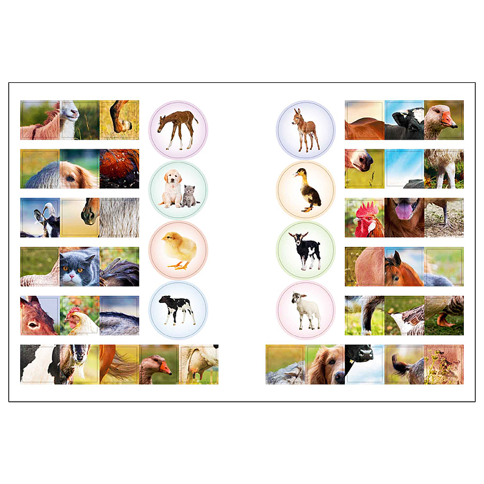 Мир животных с наклейками. Кто живёт в деревне?