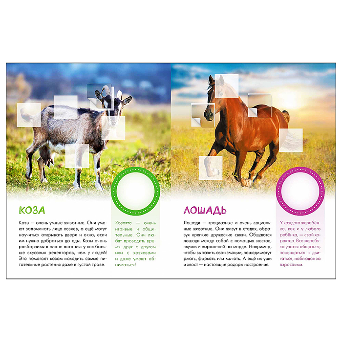 Мир животных с наклейками. Кто живёт в деревне?