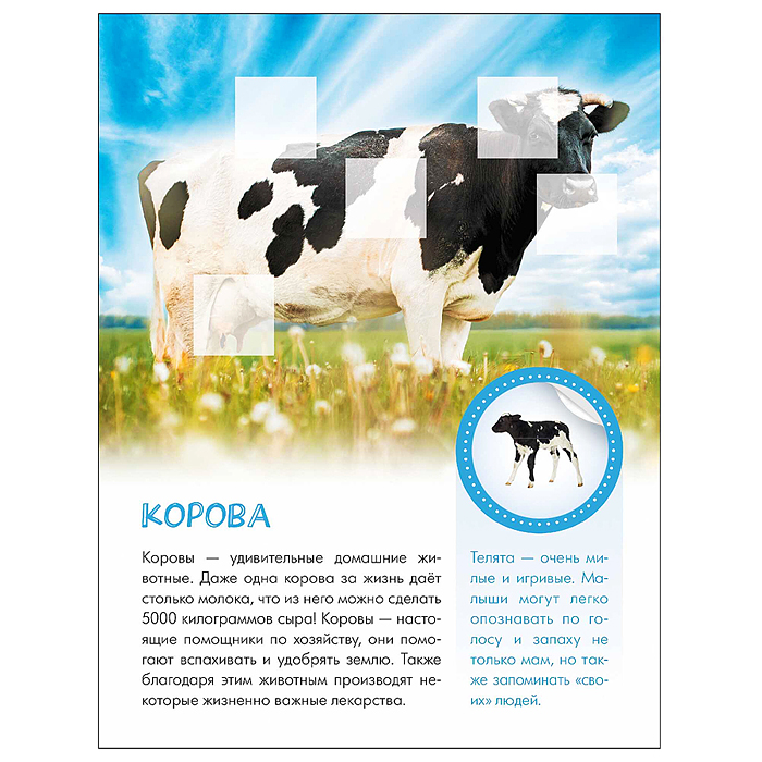 Мир животных с наклейками. Кто живёт в деревне?