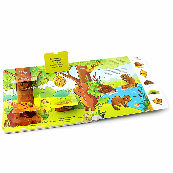 Фото к товару Мои первые слова. Лес: книжка с окошками Мои первые слова. Лес: книжка с окошками