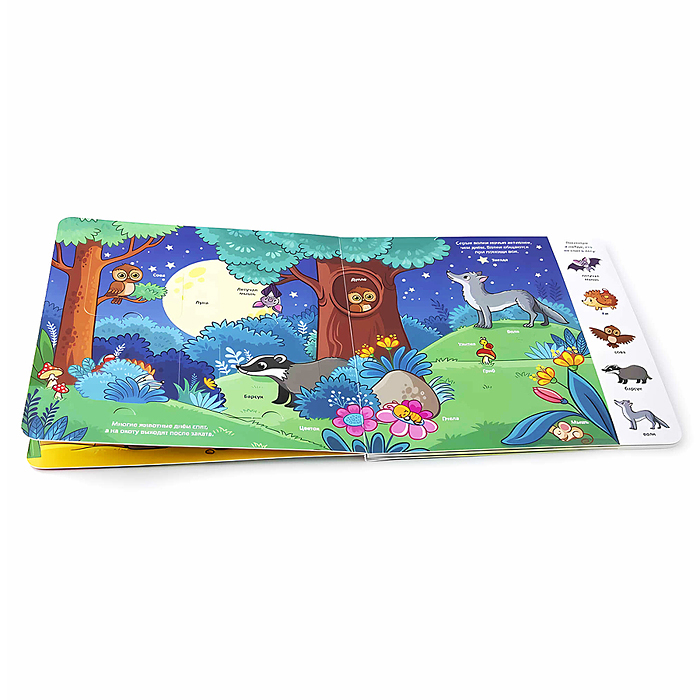 Фото к товару Мои первые слова. Лес: книжка с окошками Мои первые слова. Лес: книжка с окошками