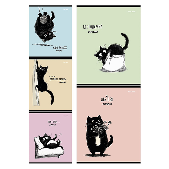 Тетрадь 48л. клетка "Чёрный котёнок - 1"