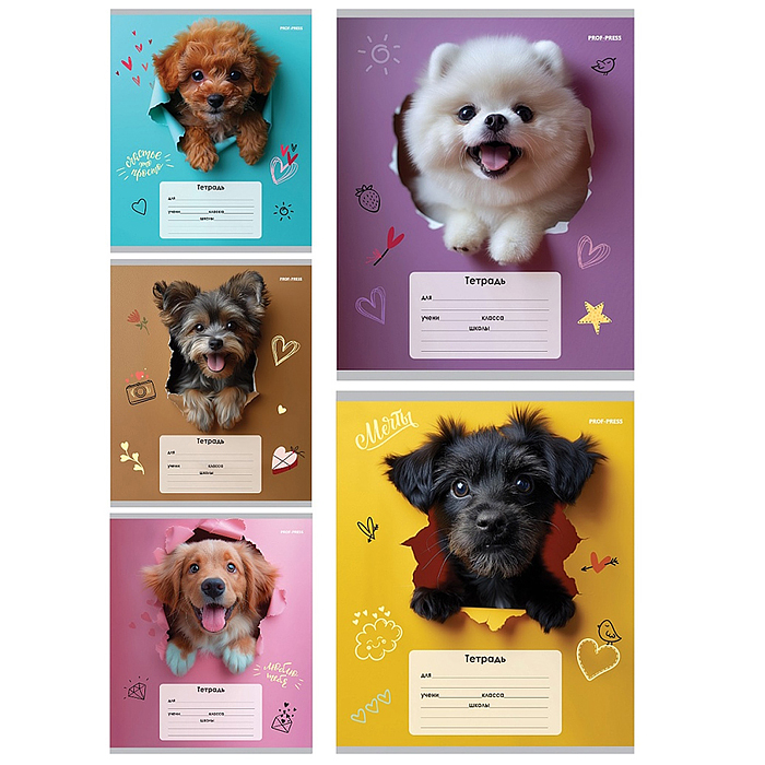 Тетрадь 18л. клетка "Обаятельные песики" обл.-мелов.картон, 5 дизайнов в спайке