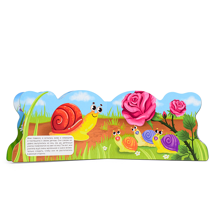 Вырубка с глазками 35мм. "Улитка"