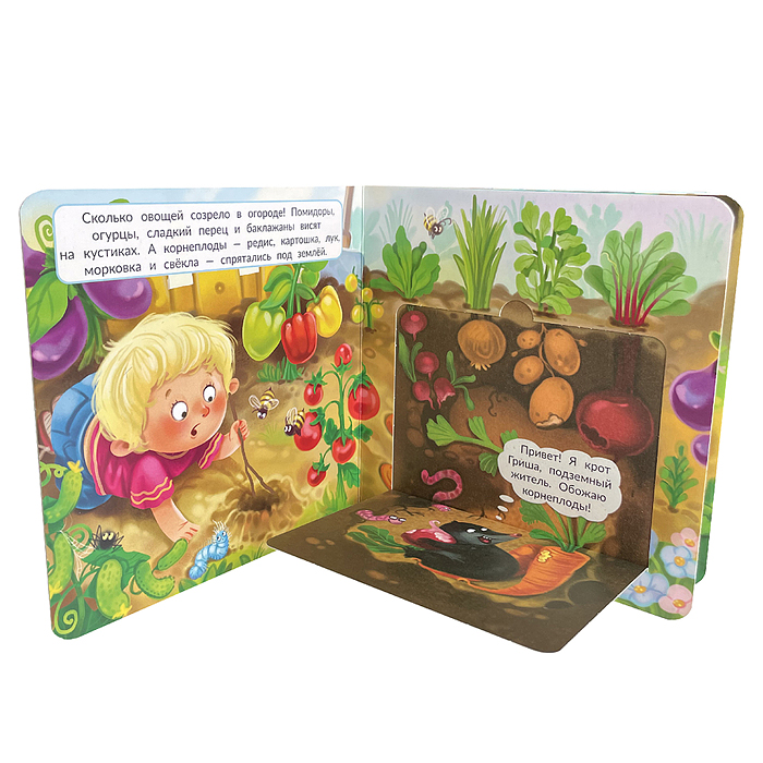 Книжка с двойными окошками "Что под землей?"