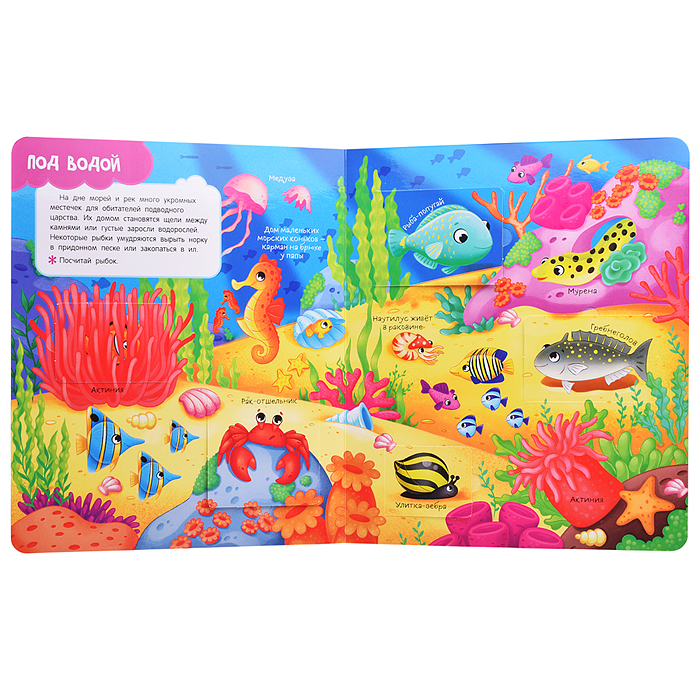 Книги с окошками. Кто где живет