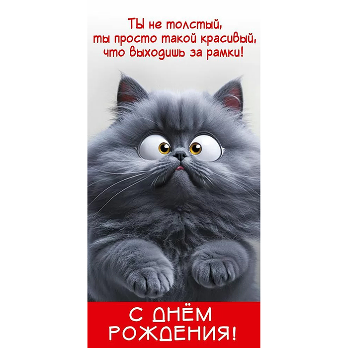 Конверт для денег "С Днём рождения! Ты не толстый..." Конверт для денег "С Днём рождения! Ты не толстый..."