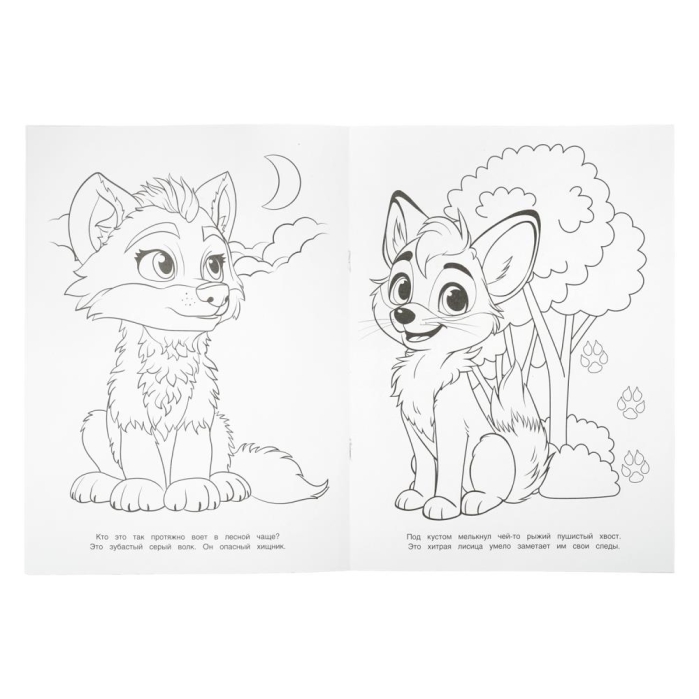 Прогулка в лесу. Чудо-раскраска