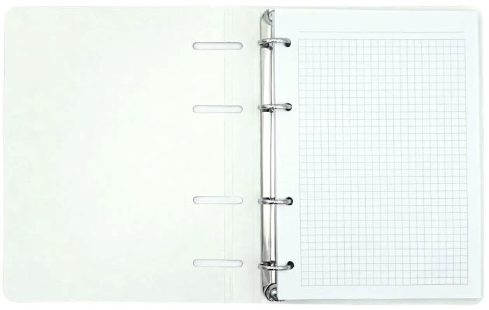 Тетрадь 100л. клетка "Яркий стиль" на кольцах, обл. мелованный картон 500г/м2, ламинация Chameleon