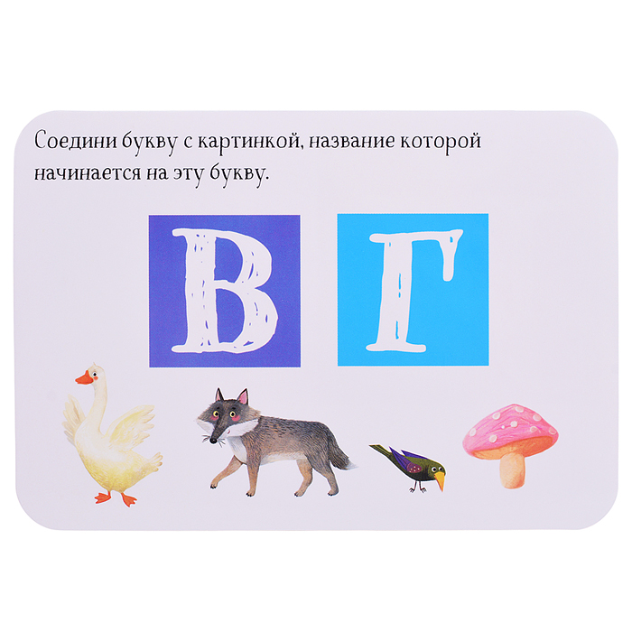 IQ Многоразовые карточки с маркером. 5+ Первая Азбука