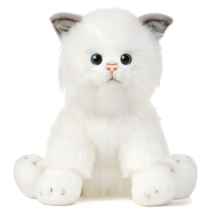 Котик Турецкая Ангора, 25 см