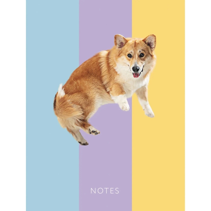 Книги для записей А6 "Корги" 64л. 7БЦ, глянцевая ламинация, форзацы – однотонные (белые)