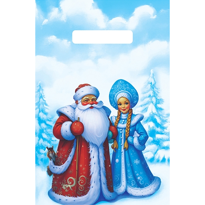 Пакет ПЭ с вырубной неусиленной ручкой 20х30см (30) "Дедушка Мороз и Снегурочка" НГ 
