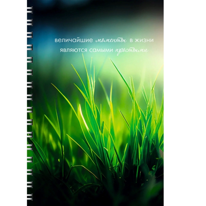 Тетрадь 80л. линия "Моменты" А4 обложка мелованный картон. Евроспираль. Бумага белый офсет 60г/м2. 
