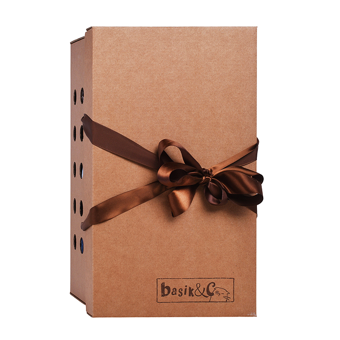 Кот Басик в комбинезоне "Деним"