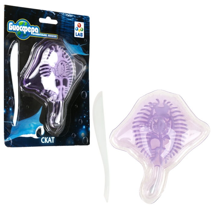 Познавательная анатомия, мини набор "Скат" 14х18см