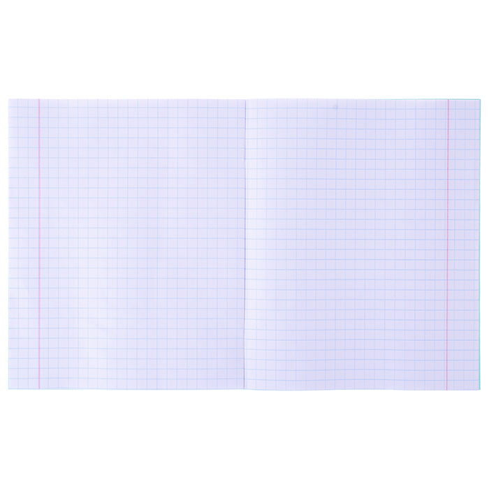 Тетрадь 12л. крупная клетка зеленая обложка  внутр блок офсет № 1 белизна 96%, плотность 60г/м2