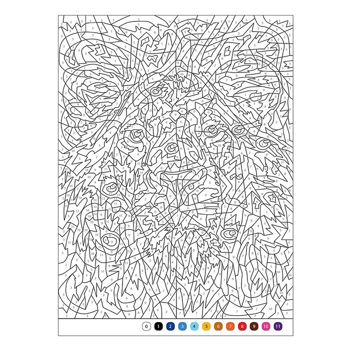 Цветовой код. Раскрась по номерам. Коты и кошки