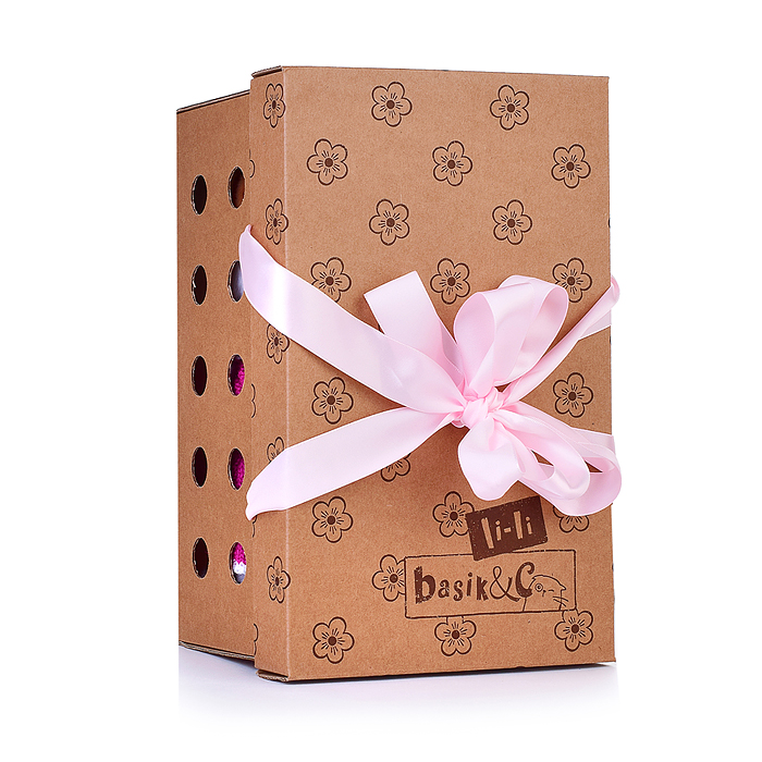 Кошка Ли-Ли в платье и с короной