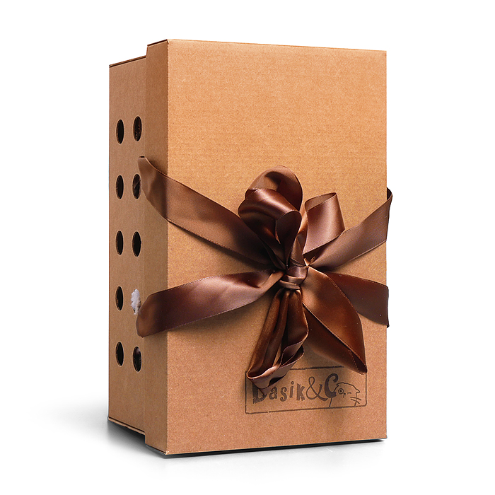 Кот Басик "Авиатор"