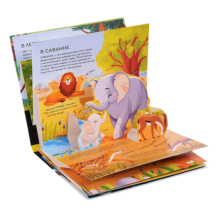 Почемучка. Дикие животные