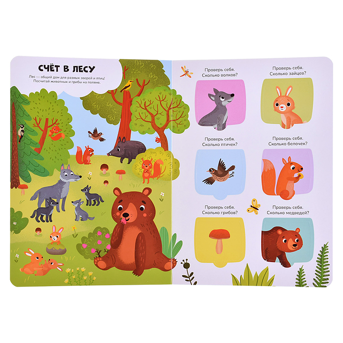 Знания в окошках. Счет до 10