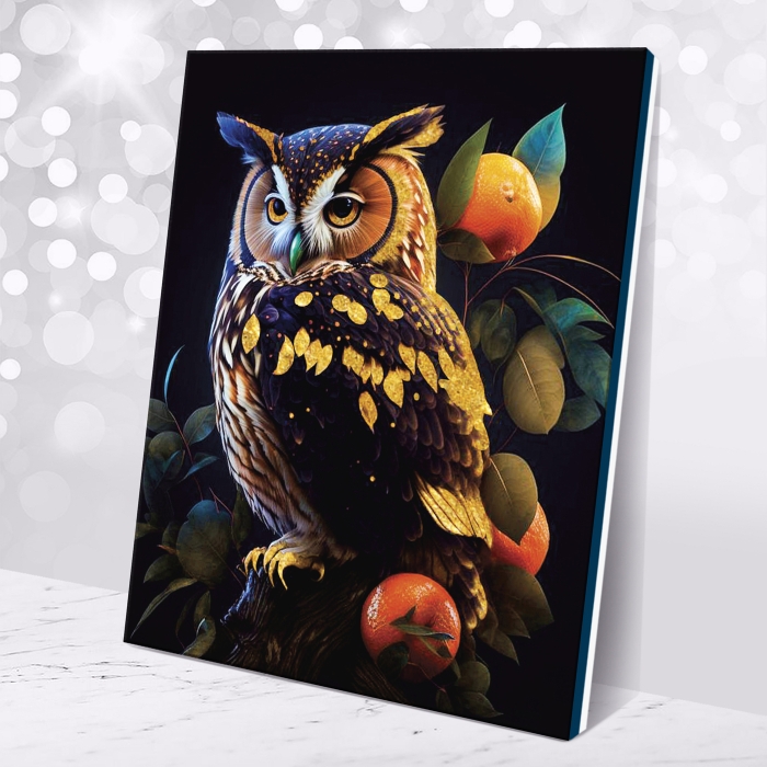 Картина по номерам 40х50 "Сова арт" черный холст с поталью (27 цветов)