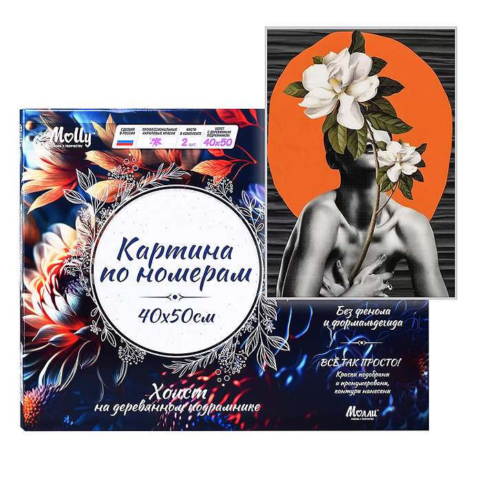 Картина по номерам 40х50 "Непреодолимая загадка" 15 цветов