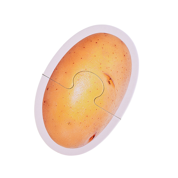 Пазлы макси "Овощи" (14 эл.)