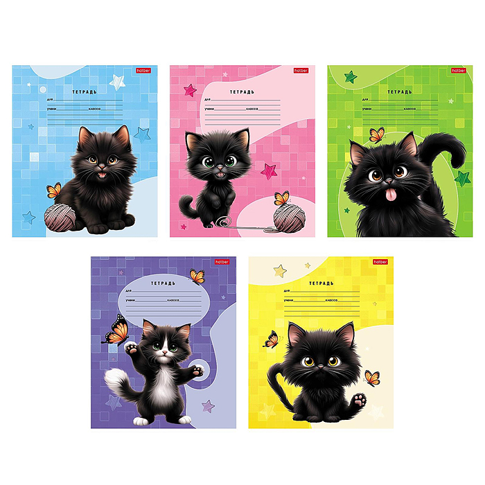 Тетрадь 18л. линия "Черный котик" А5 на скобе