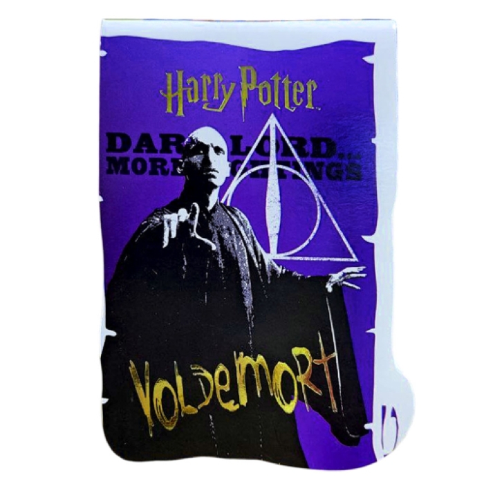 Блокнот фигурный Гарри Поттер, формат А7, 40 листов на скрепке, без линовки, тиснение золотой