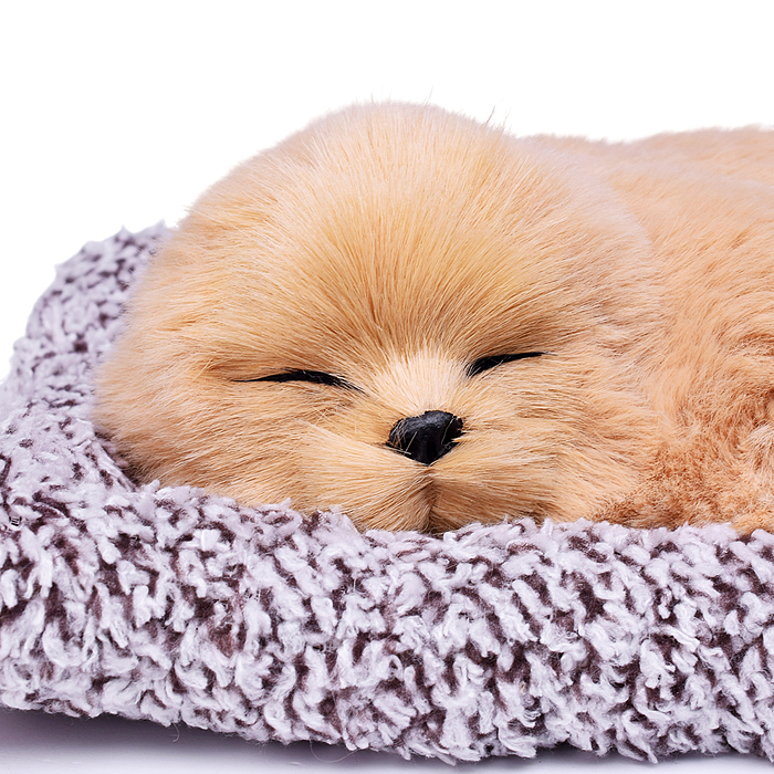 Набор питомец 2618 "Мой пушистый друг" в пакете