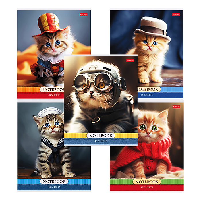 Тетрадь 48л. клетка "Котики-артисты" А5 на скобе 5 диз.в блоке скругл.углы 