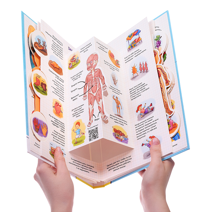 Энциклопедия 3Д "Секреты человека"