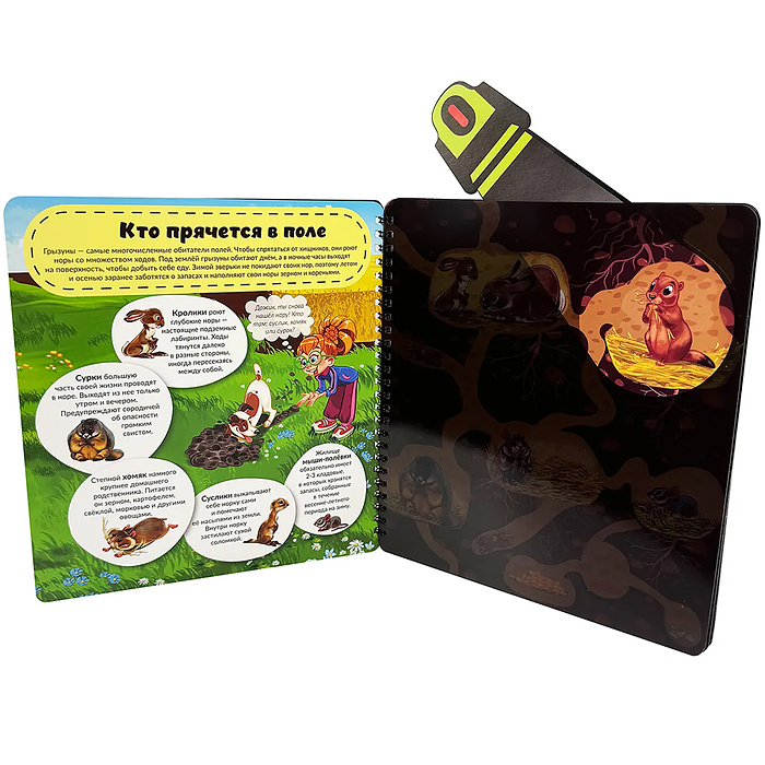 Книжка с фонариком "Что там под Землёй"