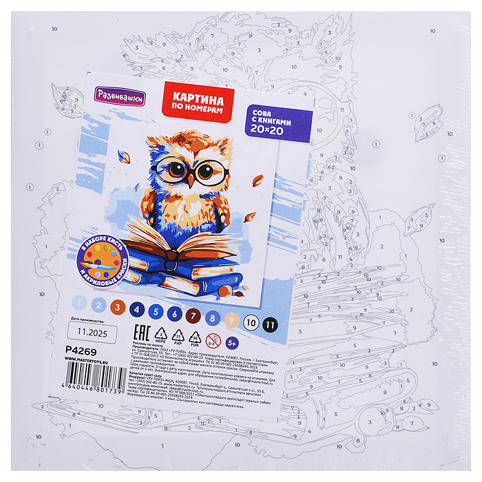 Картина по номерам "Сова с книгами" 20х20см 