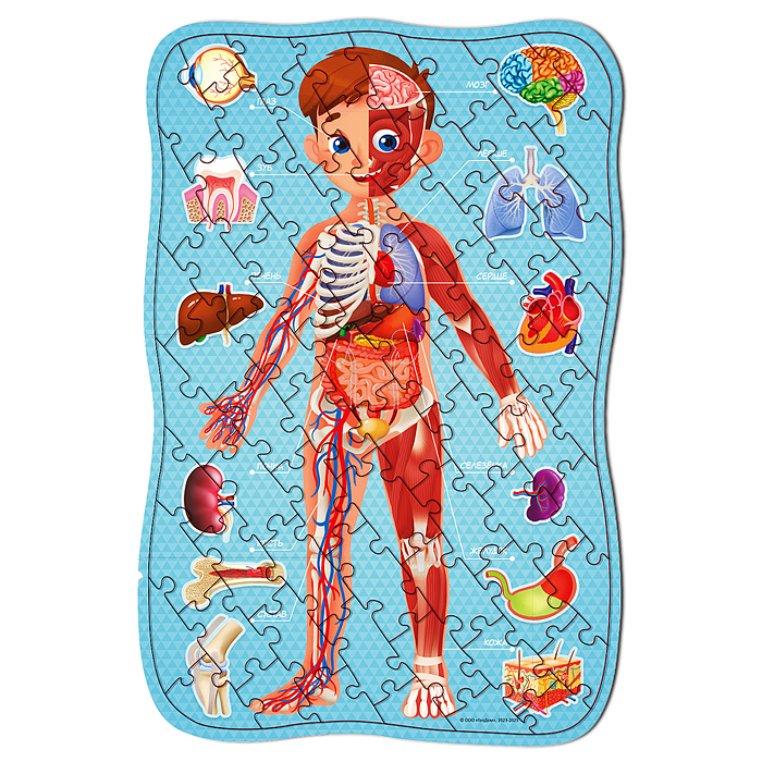 Большой подарок выпускнику детского сада 7в1