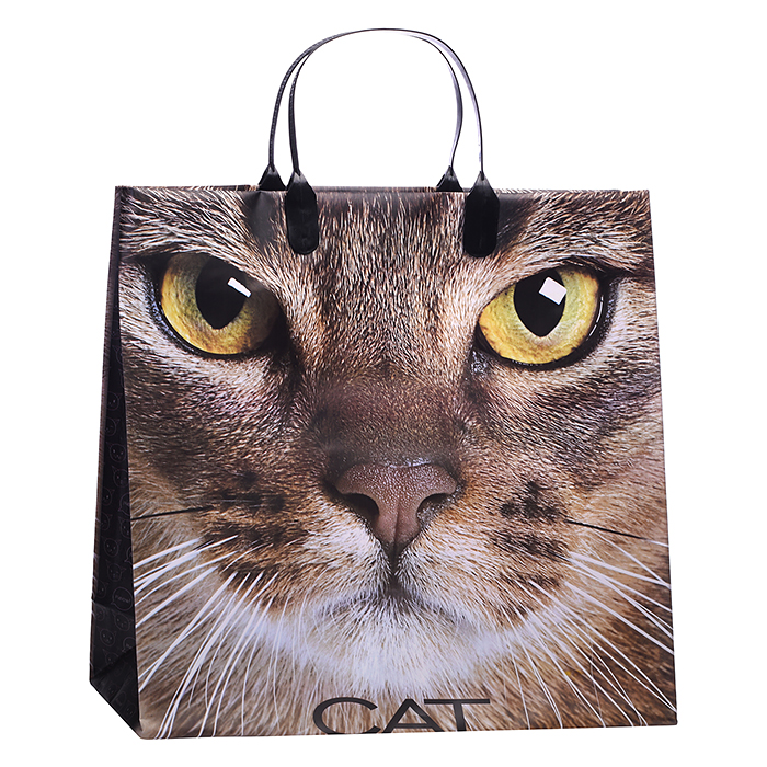 Пакет подарочный 30х30+10, 150мкм из мягкого пластика "Кэт" ламинированный