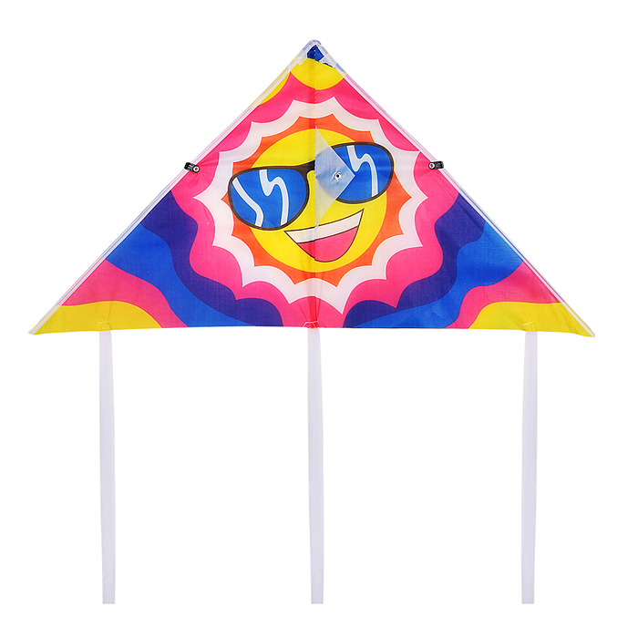 Фото к товару Змей воздушный 00-6289 "Яркий микс" Змей воздушный 00-6289 "Яркий микс"