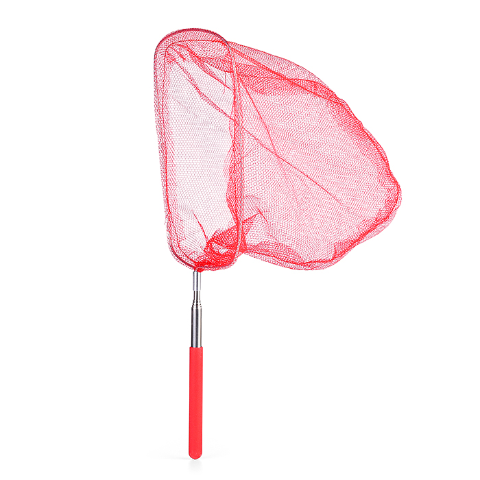 Фото к товару Сачок для ловли бабочек 00-5800 (65/20 см.) (цвет в ассортименте) Сачок для ловли бабочек 00-5800 (65/20 см.) (цвет в ассортименте)