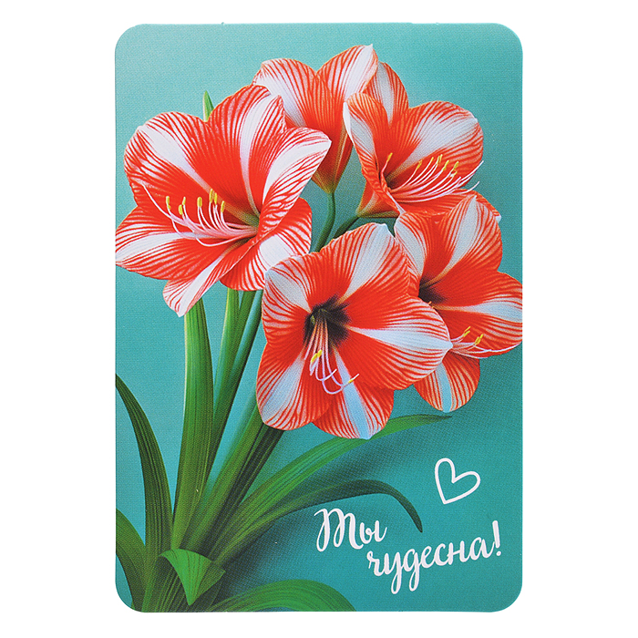 Набор мини-открыток "Прекрасные цветы"