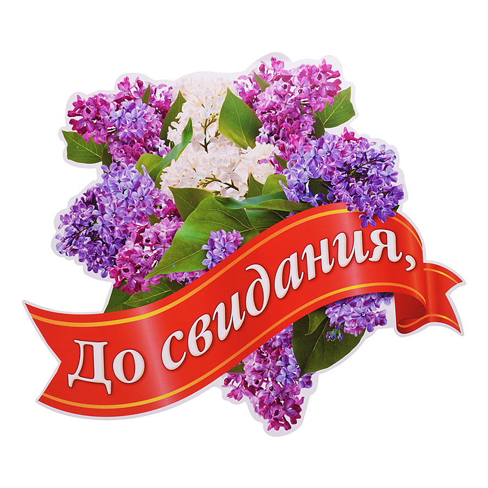 Украшение на скотче 284х326мм "До свидания, Школа!"